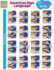 American Sign Language-First 100+ Words (Quick Study Academic)