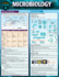 Microbiology: a Quickstudy Laminated Reference Guide (Quick Study Academic)