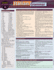 Italian Grammar: A Quickstudy Laminated Language Reference Guide