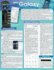 Samsung Galaxy (Quickstudy Reference Guide)