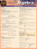 Elementary Algebra: a Quickstudy Laminated Reference Guide