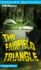 The Fairfield Triangle (Strange Matter, 18)