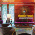 Atomic Ranch Midcentury Interiors Gringeri-Brown, Michelle