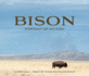 Bison: Portrait of an Icon (Wild in the West)