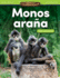 Animales Asombrosos: Monos Ara�a: Valor Posicional