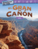 Aventuras De Viaje: El Gran Ca��n: Datos (Travel Adventures: the Grand Canyon: Data) (Spanish Version)