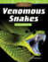 Amazing Animals: Venomous Snakes: Fractions and Decimals (Mathematics in the Real World)