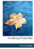 The History of Puerto Rico: From the Spanish Discovery to the American Occupation