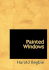 Painted Windows: Studies in Religious Personality