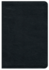 Premium Bible-Nrsv