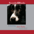 A Good Dog: the Story of Orson, Who Changed My Life