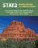 The Stat 2