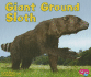 Giant Ground Sloth (Pebble Plus)