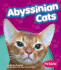 Abyssinian Cats (Pebble Books: Cats)