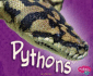 Pythons (Pebble Plus: African Animals)