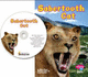 Sabertooth Cat (Dinosaurs and Prehistoric Animals)
