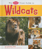 The Pebble First Guide to Wild Cats