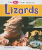 The Pebble First Guide to Lizards