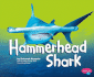 Hammerhead Shark (Pebble Plus: Sharks)