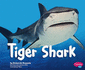 Tiger Shark (Pebble Plus: Sharks)