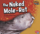 The Naked Mole-Rat (Pebble Plus: Weird Animals)