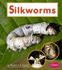Silkworms (Pebble Books/Watch It Grow)