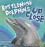 Bottlenose Dolphin Up Close (First Facts, Whales and Dolphins Up Close)