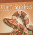 Corn Snakes (First Facts, Snakes)
