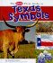 The Pebble First Guide to Texas Symbols (Pebble Books: Pebble First Guides)