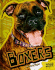Boxers (Edge Books. All About Dogs)