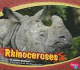 Rhinoceroses (Pebble Plus)