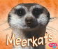 Meerkats (Pebble Plus: African Animals)