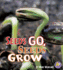 Seeds Go, Seeds Grow (a+ Books: Science Starts)