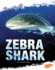 Zebra Shark (Shark Zone)