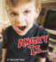 Angry is...(a+ Books)