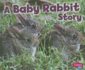 Baby Rabbit Story (Pebble Plus)