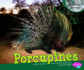 Porcupines (Pebble Plus: Nocturnal Animals)