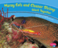 Moray Eels and Cleaner Shrimp Work Together (Pebble Plus: Animals Working Together)