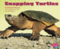Snapping Turtles (Pebble Plus)