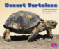 Desert Tortoises (Pebble Plus)