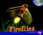 Fireflies