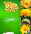 Which Seed is This? (Nature Starts)
