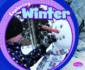 Exploring Winter (Pebble Plus: Exploring the Seasons)