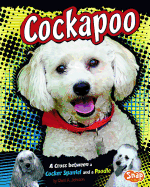 Cockapoo: a Cross Between a Cocker Spaniel and a Poodle