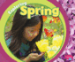 Exploring Spring (Exploring the Seasons)