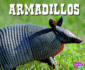 Armadillos (North American Animals)