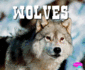 Wolves (North American Animals)
