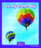 To Fly in the Sky