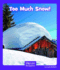 Too Much Snow (Wonder Readers Fluent Level)