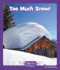 Too Much Snow (Wonder Readers)